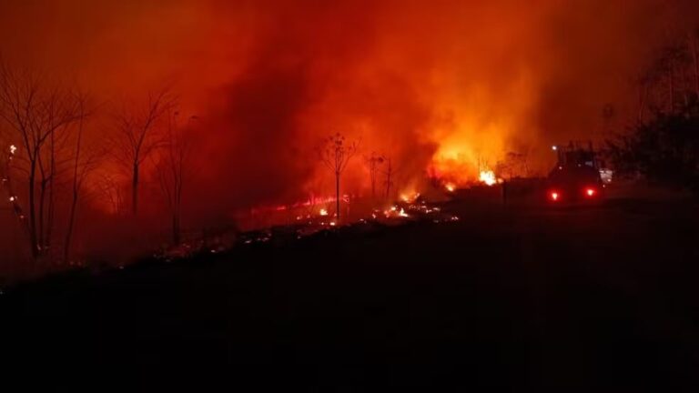 Fávaro discute com instituições financeiras apoio a produtores afetados por incêndios