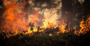 Grande incêndio atinge floresta nacional de Brasília e ameaça propriedades rurais