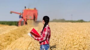 Mulheres do campo e produção de ovelhas são destaques do Cooperativismo em Notícia