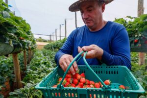 Prazo para produtor declarar ITR termina nesta segunda-feira