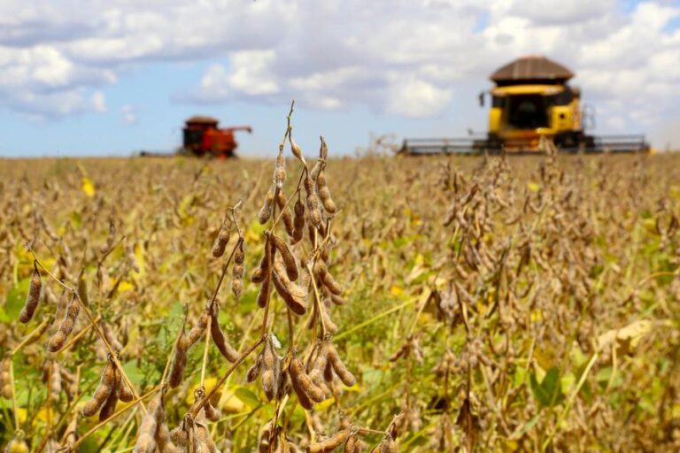 Soja: Chicago fecha em forte alta, com clima no Brasil e EUA no foco