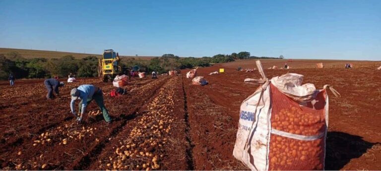 ‘Sobe e desce’ de temperaturas no PR