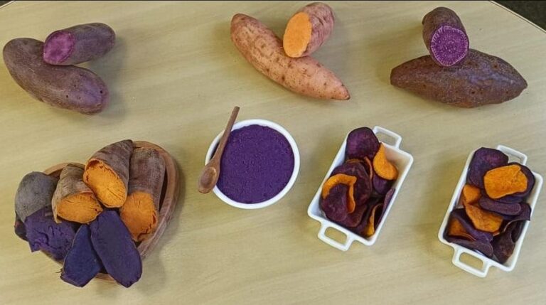 Batata-doce: saiba as diferenças de cores e sabores da hortaliça