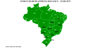 Confira como está o plantio da soja pelo país; Paraná lidera