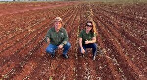 De memórias da infância à paixão pelo agro: a produtora da soja de MS que honra o legado familiar