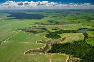 Decisão do STF sobre compensação ambiental traz segurança ao agro, diz CNA