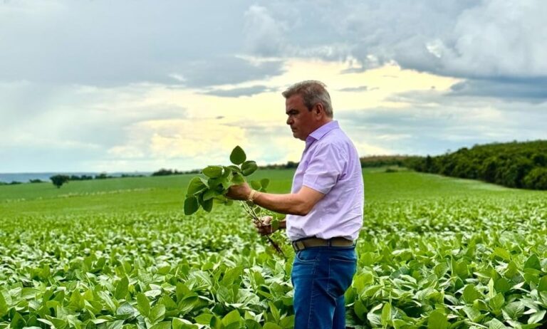 Do plantio tradicional à tecnologia: a trajetória do prefeito e produtor da soja de Silvânia (GO)