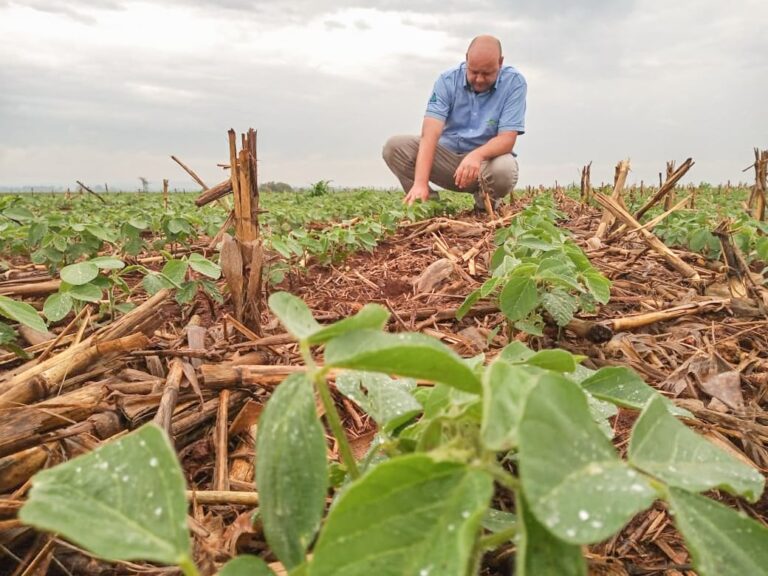 Plantio da soja em Goiatuba (GO) inicia com expectativas positivas