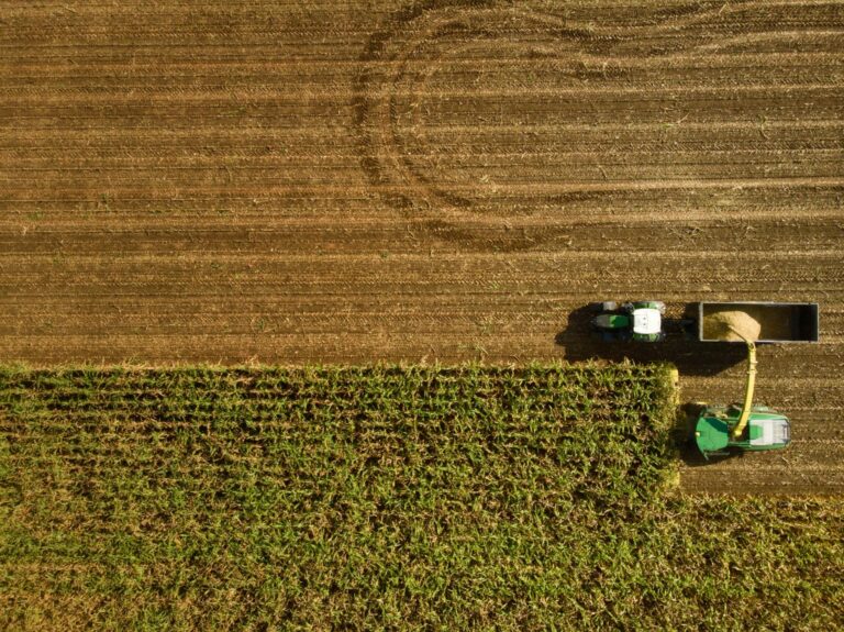 Salário de até R$ 60 mil no agro: veja quais regiões oferecem os melhores ganhos