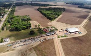 Veja a lista dos 100 municípios mais ricos do agronegócio brasileiro