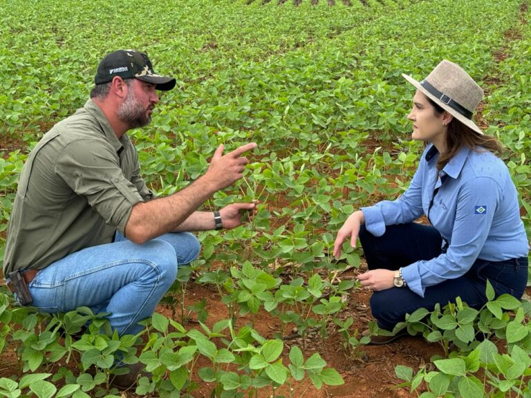 Aprosoja MT conclui primeiras visitas a produtores de soja