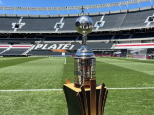 Atlético-MG e Botafogo se enfrentam na final da Libertadores hoje (30)