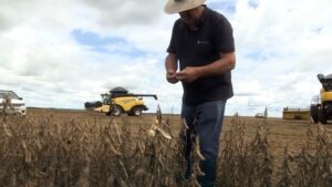 Clima benéfico: o avanço no plantio da soja em Mato Grosso