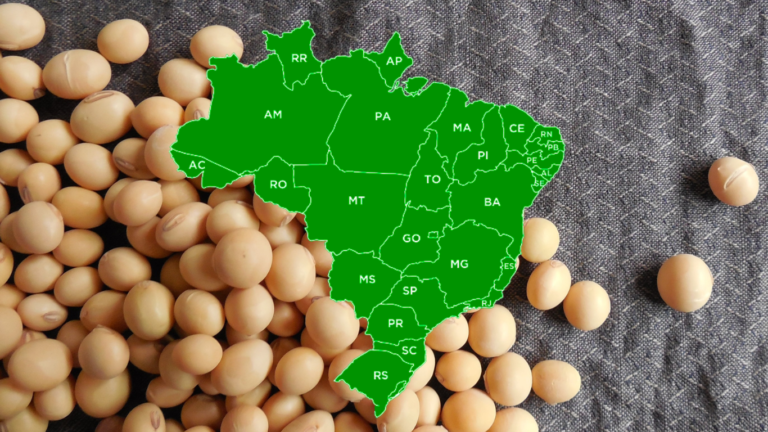 Como está o plantio da soja no Brasil? Confira os dados por região