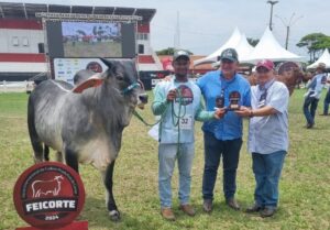 julgamento raça Guzerá Feicorte