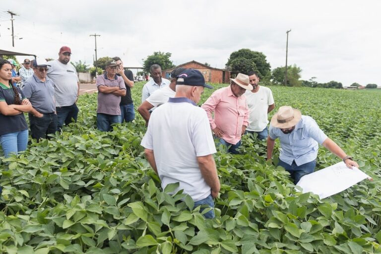 Embrapa Soja é parceira do evento Giro Técnico da Soja