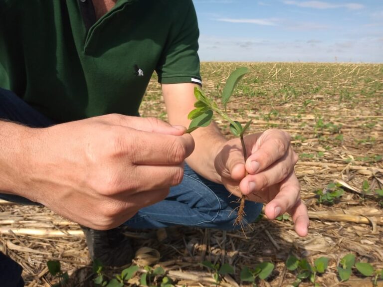 Entidades do agro pedem urgência na aprovação do PL dos bioinsumos