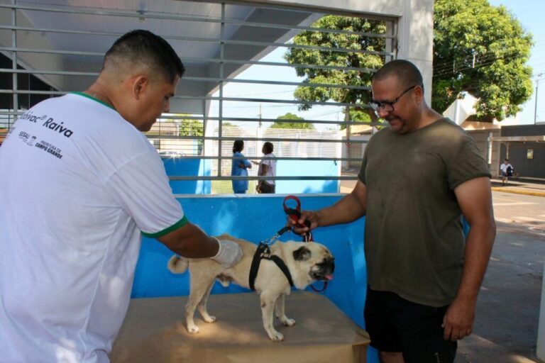 Mais de 1.500 cães e gatos são vacinados contra a raiva neste feriado; campanha segue até o fim do ano na CCZ