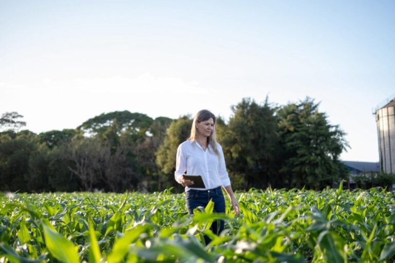 No pódio do agro: a produtora de soja premiada que ‘abraçou’ a sustentabilidade