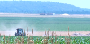 O maior produtor de soja do Maranhão: o papel da commodity no desenvolvimento de Balsas