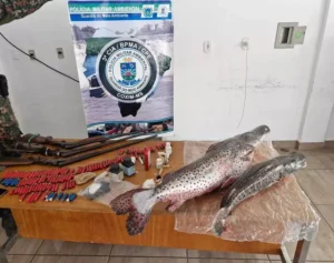 PMA de Coxim apreende armas, munições e peixes capturados ilegalmente no Rio Jauru