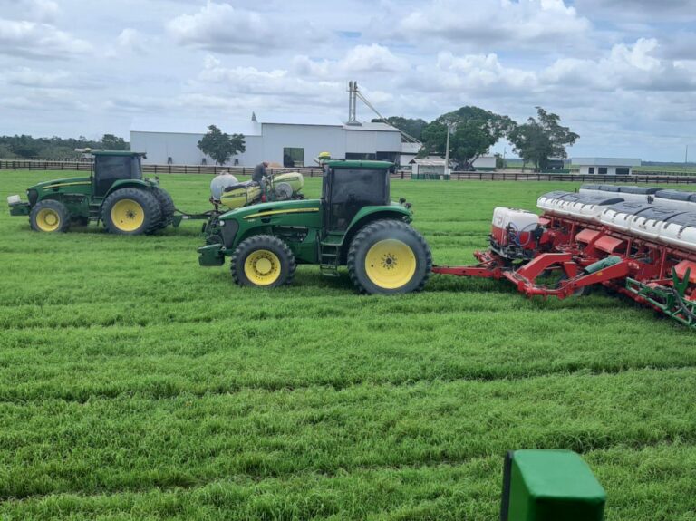 Querência (MT) atinge 90% do plantio da soja; produtores enfrentaram desafios