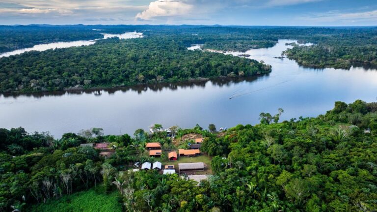 Três fazendas do Pará têm Cadastros Ambientais Rurais cancelados em definitivo