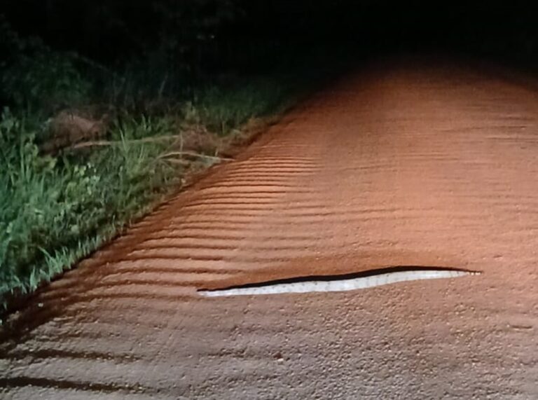 VÍDEO: Leitor flagra jiboia atravessando estrada vicinal na zona rural de Coxim