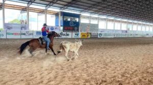 30ª Copa do Laço reúne gerações no Parque do Laçador em Campo Grande