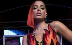 Anitta já pensa em se aposentar