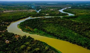 Clima adverso em 2024 atrapalha o desempenho agropecuário do Mato Grosso do Sul