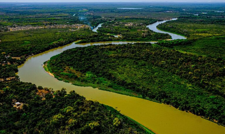 Clima adverso em 2024 atrapalha o desempenho agropecuário do Mato Grosso do Sul