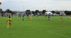 FFMS realiza pela primeira vez Estadual Sub-11 e Feminino Sub-17