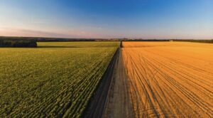 Mudanças climáticas: mitigação passa pelo uso inteligente do solo