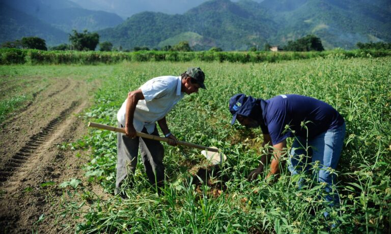 Projeto amplia área para enquadramento de agricultor no Pronaf