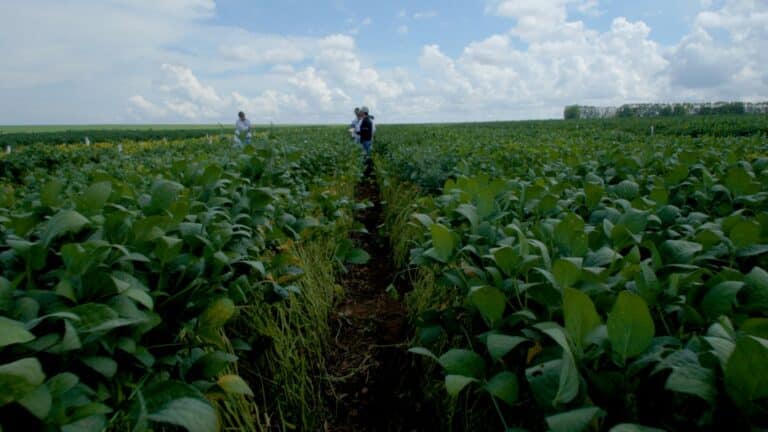 Senado aprova projeto que regulamenta o uso de bioinsumos