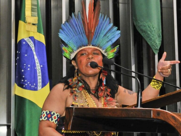 Sonia Guajajara recebe o Prêmio Campeões da Terra da ONU