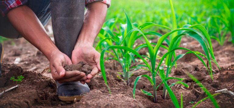 Sustentabilidade e inovações no agro foram destaques do Mapa