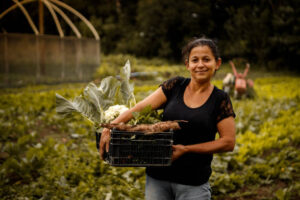 Bônus para garantia de preços beneficia agricultura familiar