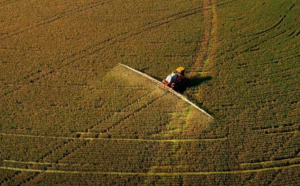 Chuvas em MT causam perdas que chegam a 50% na soja 