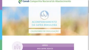 Conab divulga cronograma de 2025 com dados das principais safras do Brasil