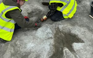 Uma fotografia tirada pela paleontóloga de vertebrados, Dra. Emma Nicholls, e divulgada pela Universidade de História Natural de Oxford em 2 de janeiro de 2025, mostra membros da equipe de escavação trabalhando nas pegadas na Dewars Farm Quarry