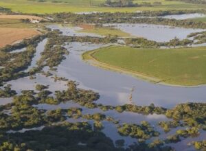 Enchentes no RS: MDA faz balanço de ações para agricultores familiares afetados