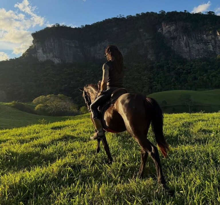 Lenny Kravitz tem fazenda milionária no Brasil com produção orgânica