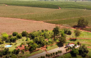 Preço das terras agrícolas teve valorização de 113% nos últimos cinco anos