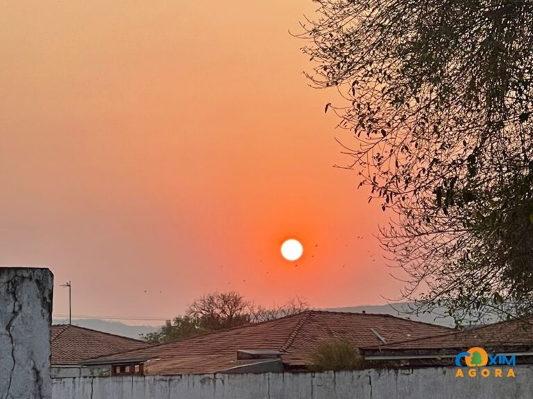 Quinta-feira: Um dia típico do verão pantaneiro