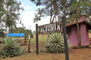 Rota Caminho dos Ipês é impulsionada com apoio do Sebrae