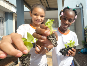 Série Agrinho mostra a educação integrada ao mundo rural