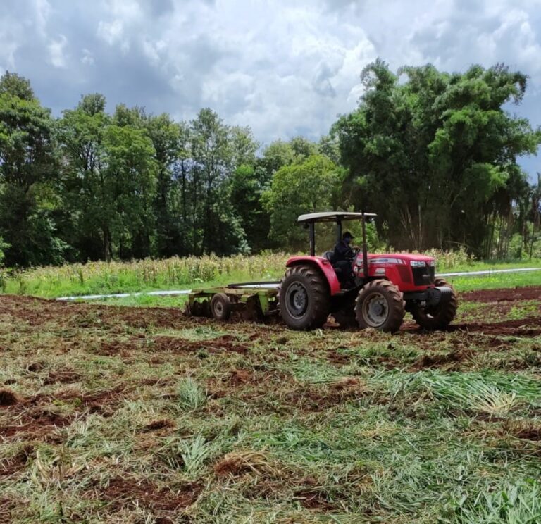 Agricultores já podem aderir ao “Desenrola Rural” com desconto de até 96% na dívida