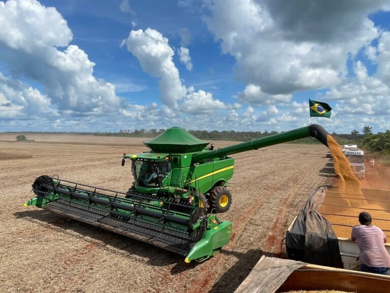 Colheita de soja: o impacto do clima e as exportações